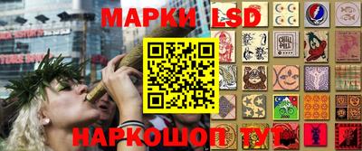 индика Азнакаево