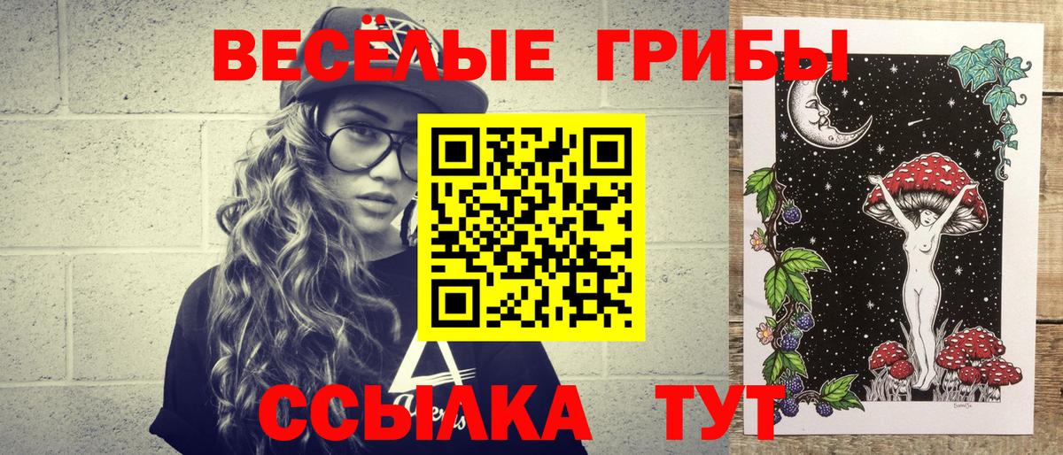 Алейск  Галлюциногенные грибы прущие грибы  Вход с VPN  Галлюциногенные грибы Psilocybe 